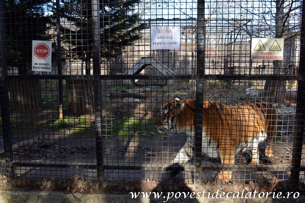 Zoo Bucuresti (178)